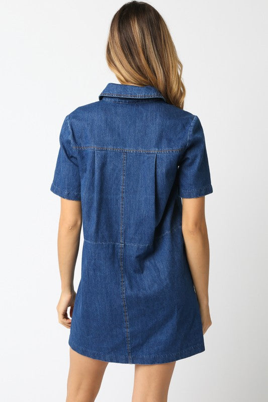 Dalton Denim Dress