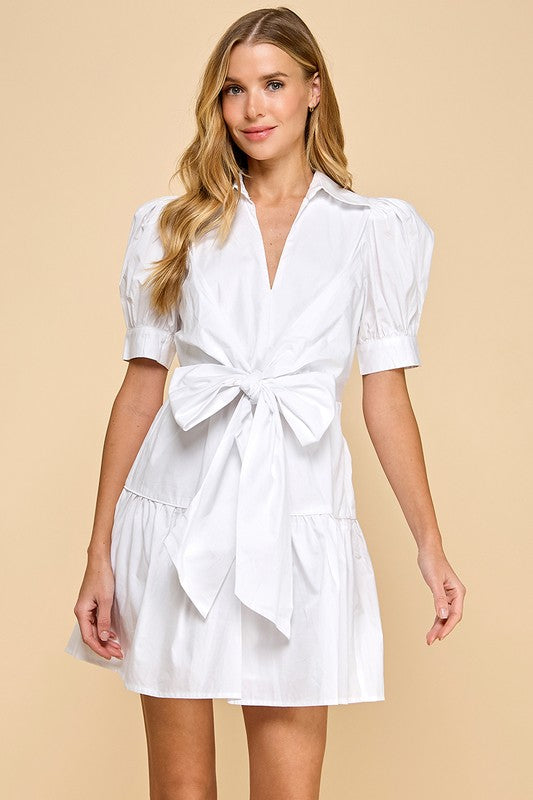 Delayna Mini Dress