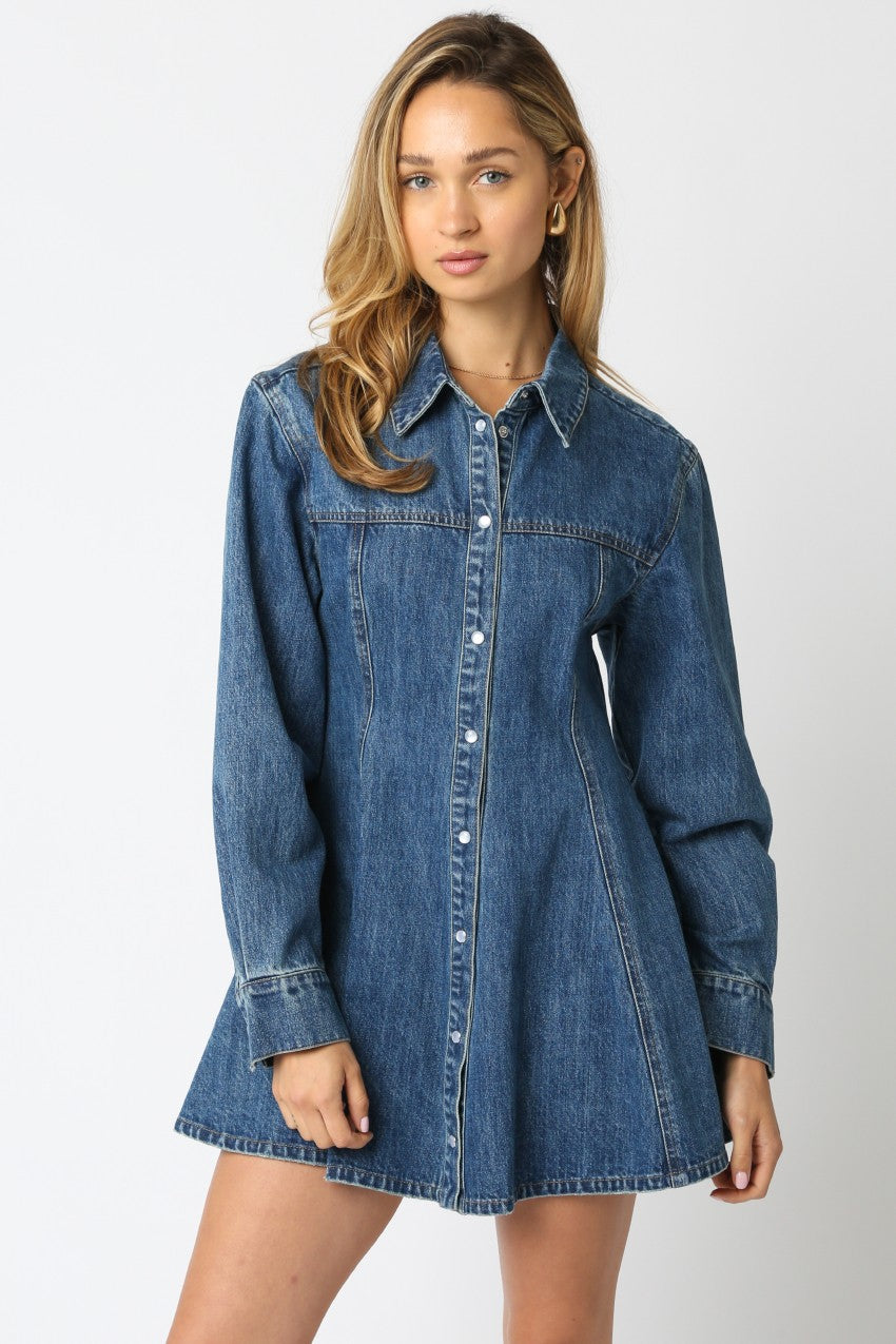 Lorelai Denim Dress