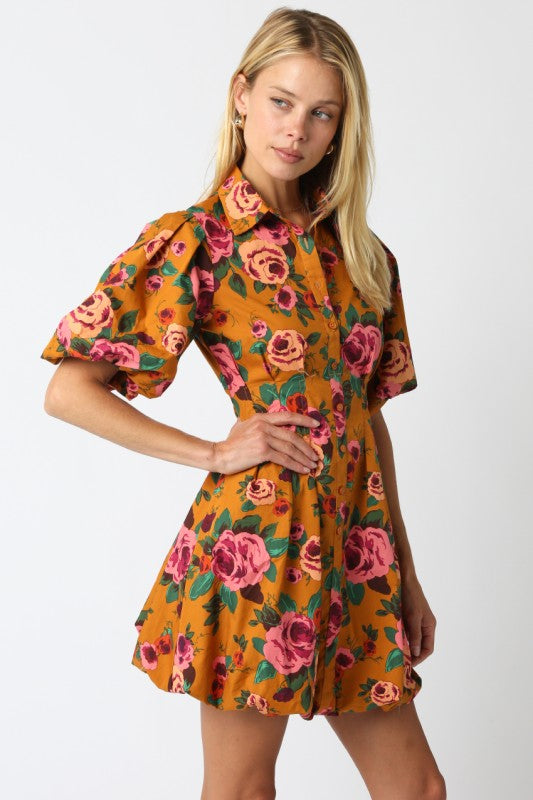 Lawson Bubble Dress
