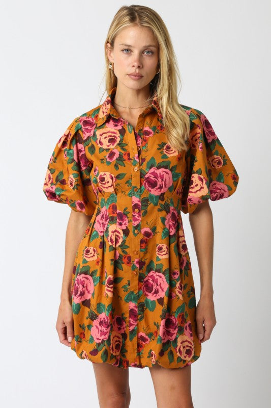 Lawson Bubble Dress