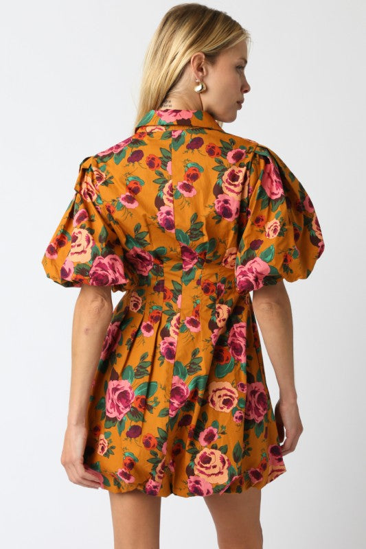 Lawson Bubble Dress