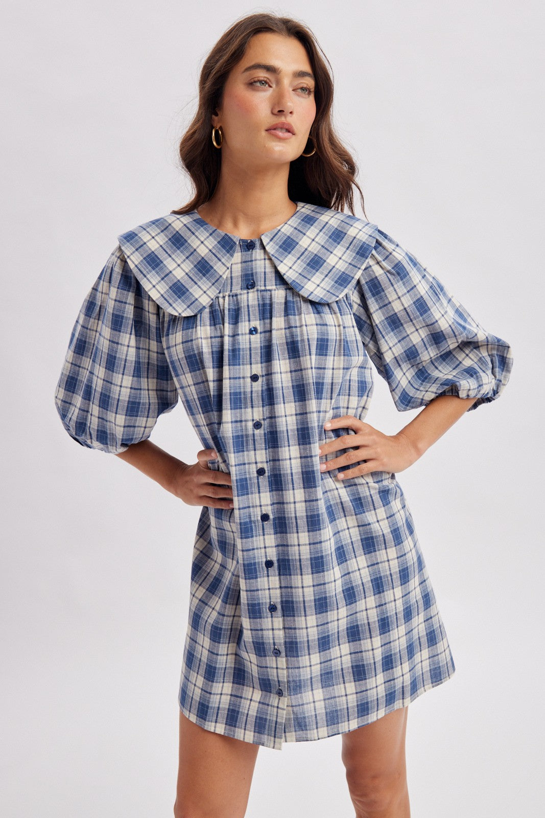 The Blueberry Hill Mini
