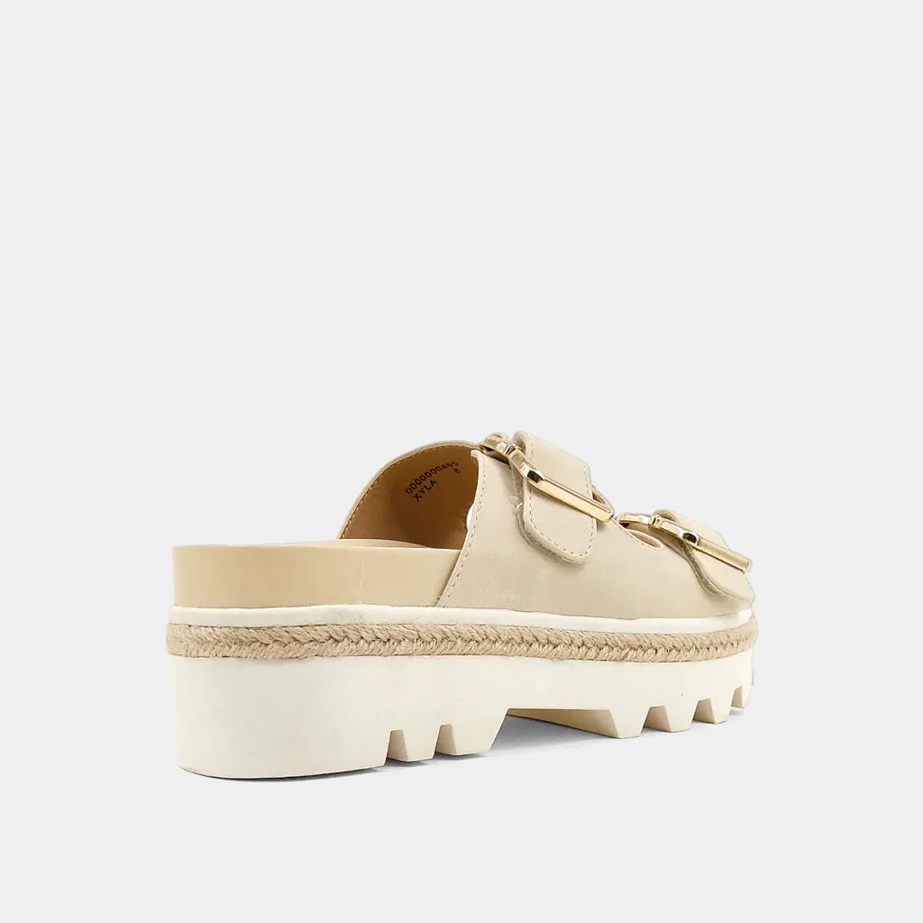 Vanessa Slides