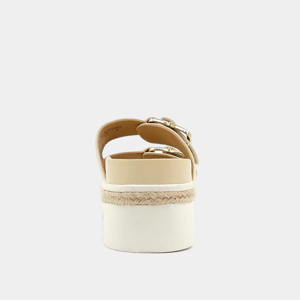 Vanessa Slides