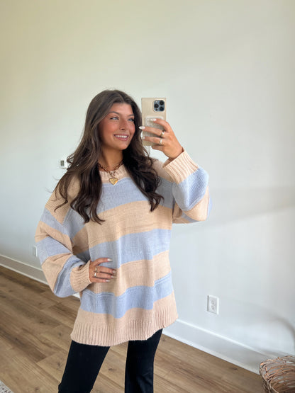 Baby Blue/Taupe Knit Sweater