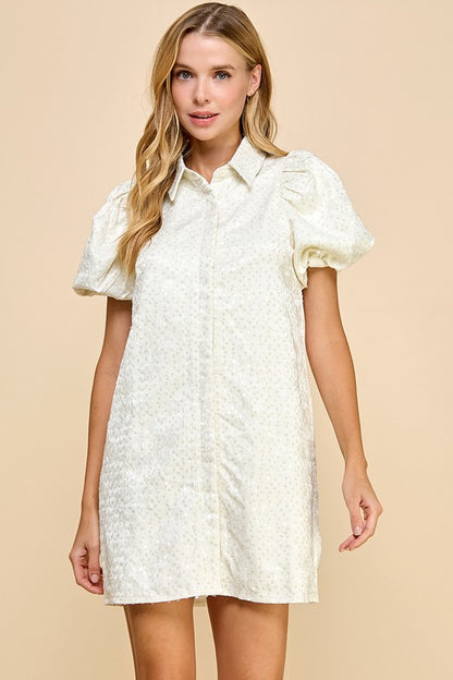 Cream Sequin Button Down Dress