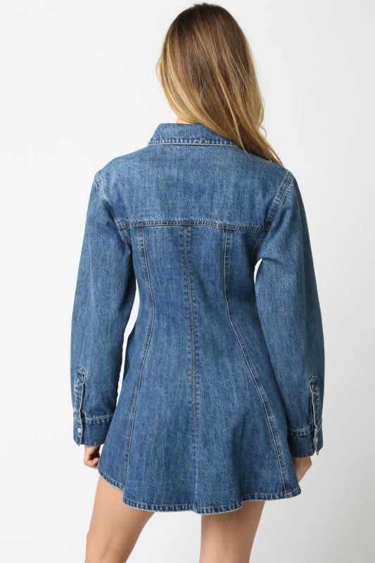 Marki Denim Dress