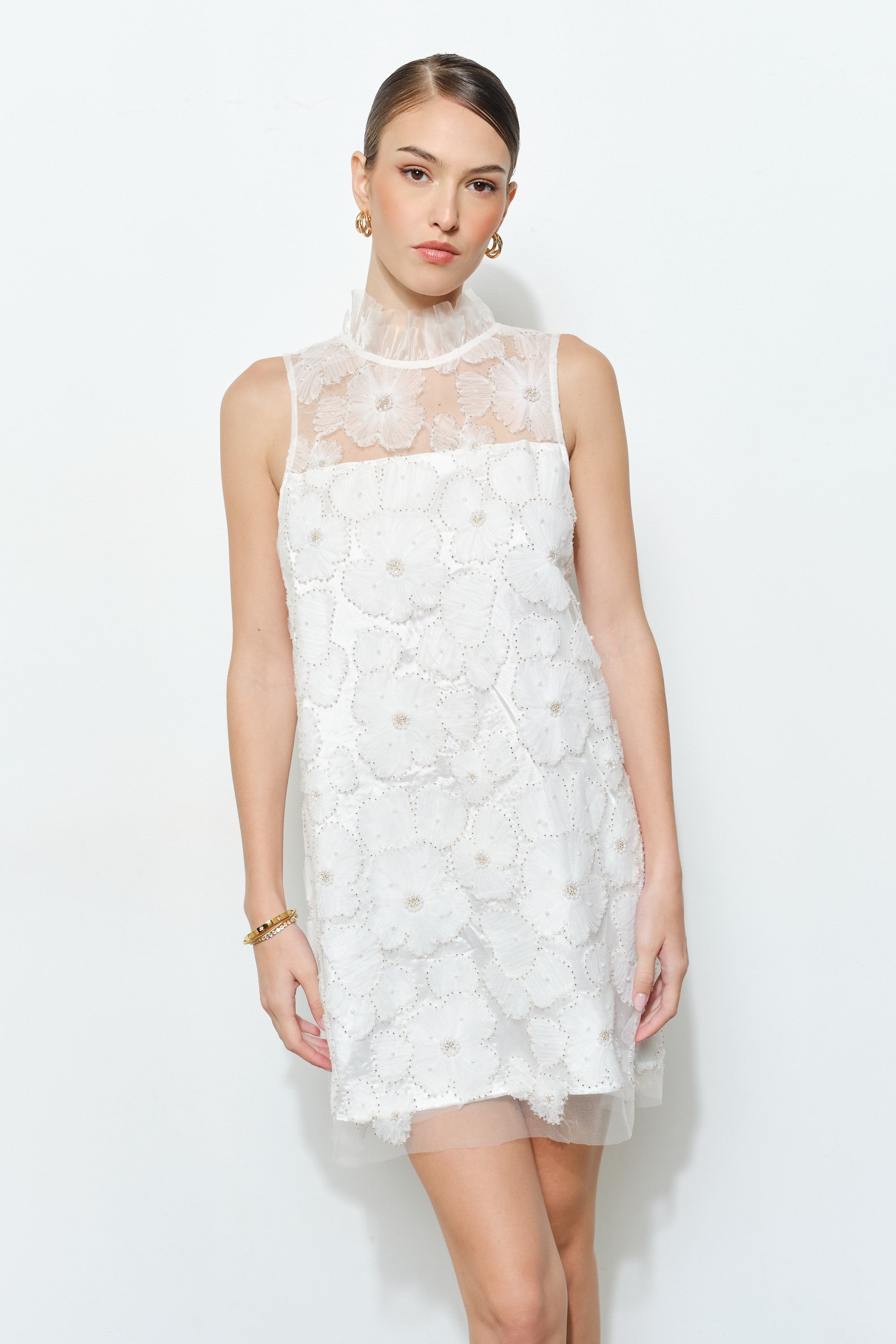 Eloise Chiffon Embellished Mini Dress