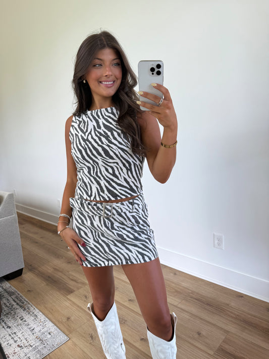 Zebra Gameday Set