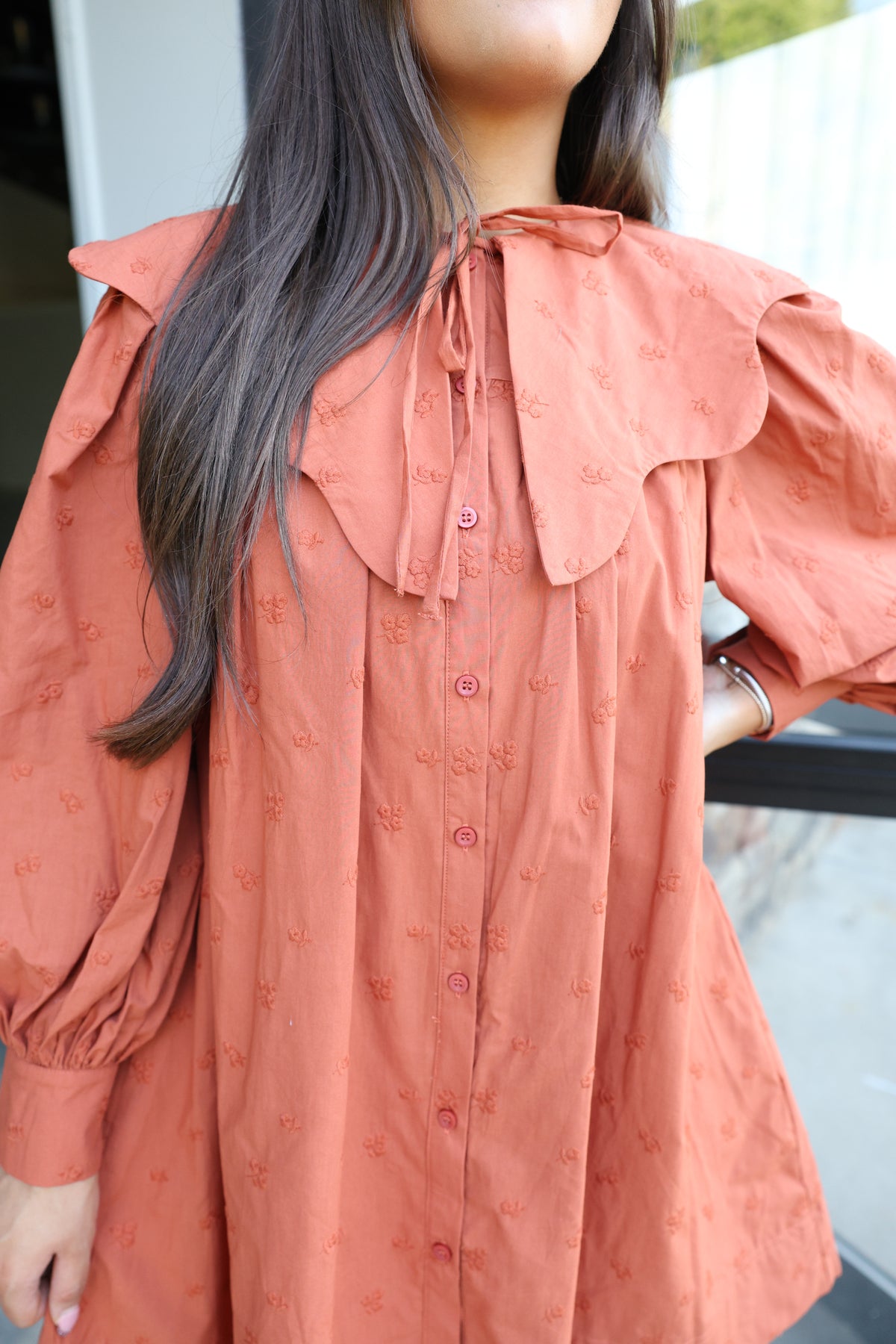 I am an Autumn Mini Dress