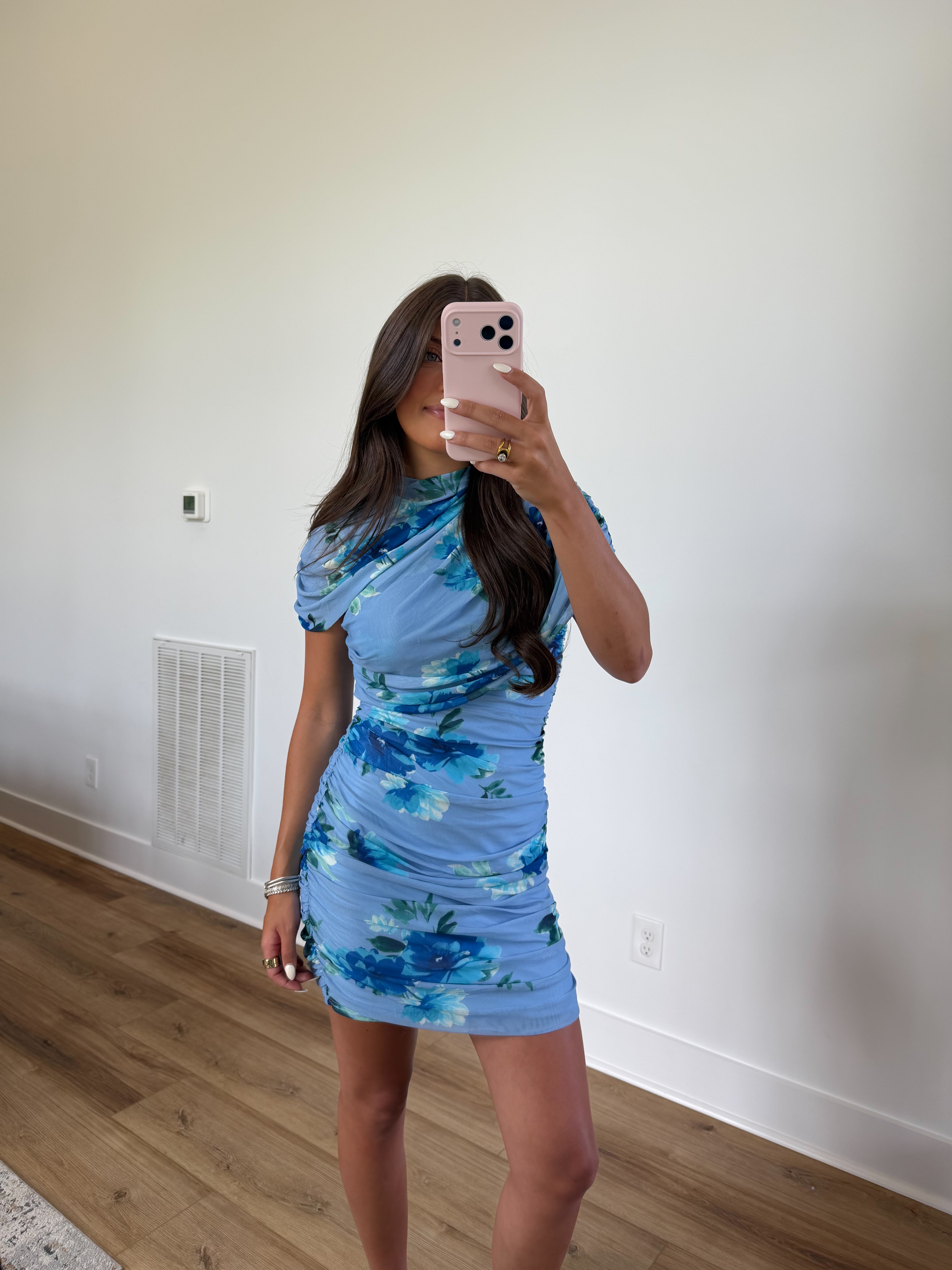 Blue Hydrangea Mini