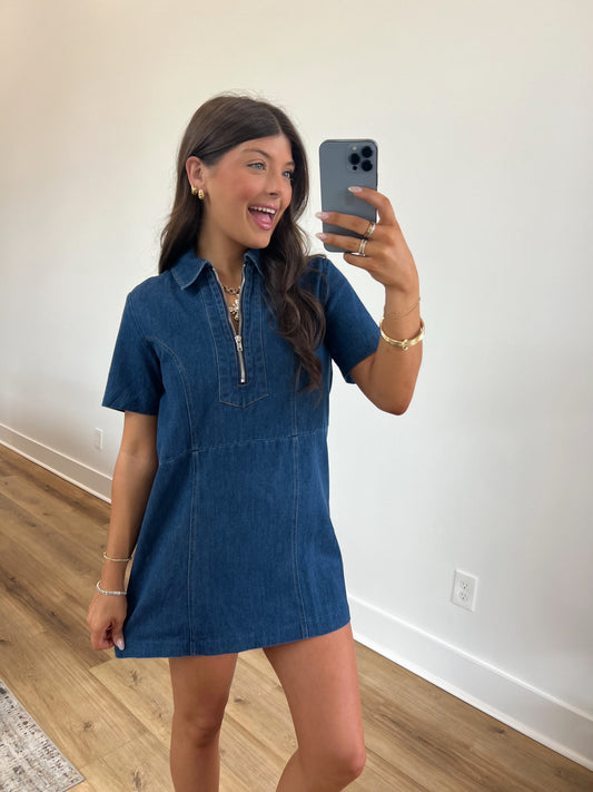 Dalton Denim Dress